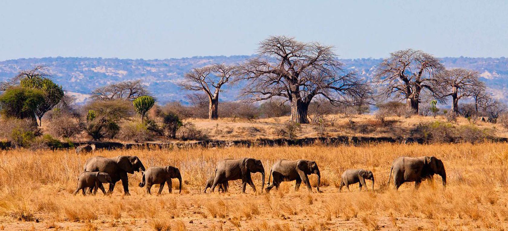 8days-great-serengeti-migration-luxury-family-safari