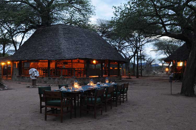 8days-tanzania-selousandruaha-luxury-honeymoon-safari