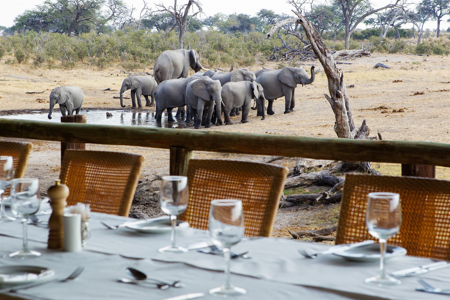 6days-okavango-deltaandchobe-luxury-safari