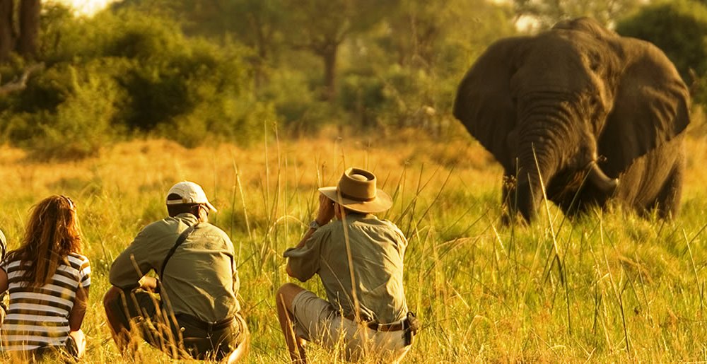 5days-linyanti-botswana-walking-safaris