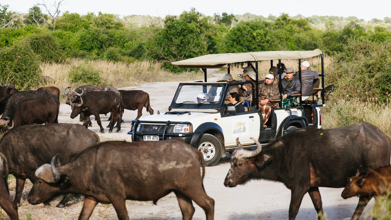 4days-explore-botswana-family-safari