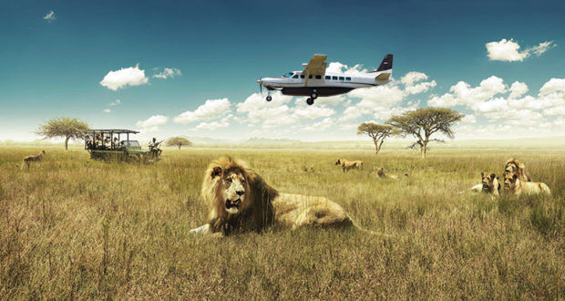 11days-victoria-fallsandbotswana-flying-safari