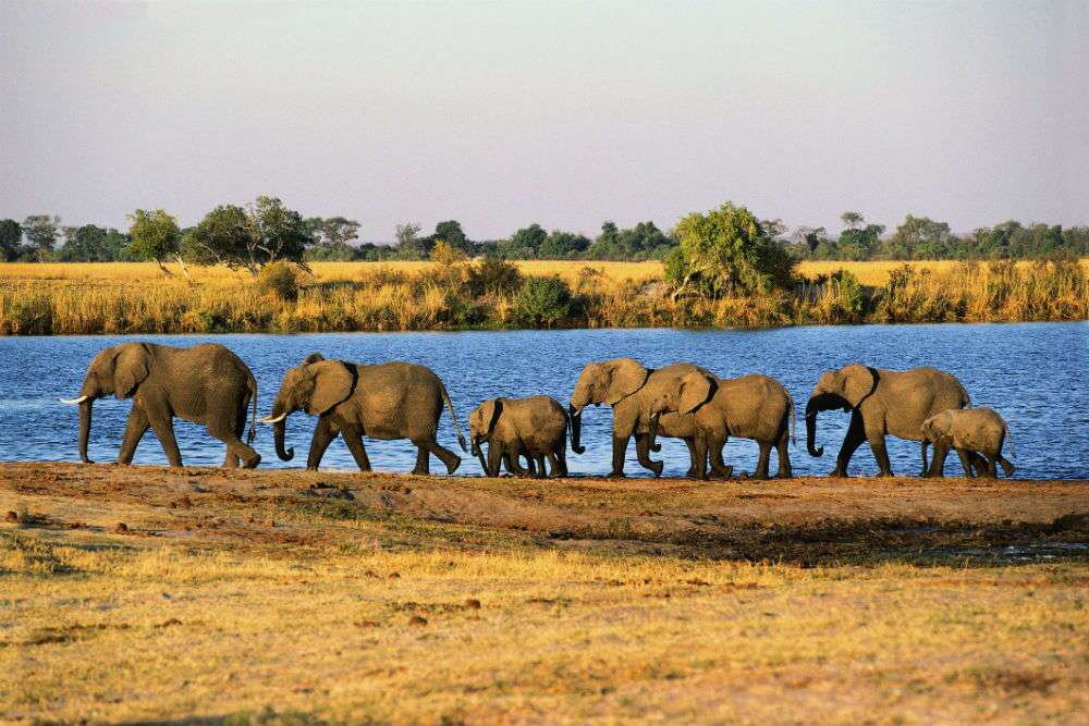 10days-chobe-okavango-romantic-safari