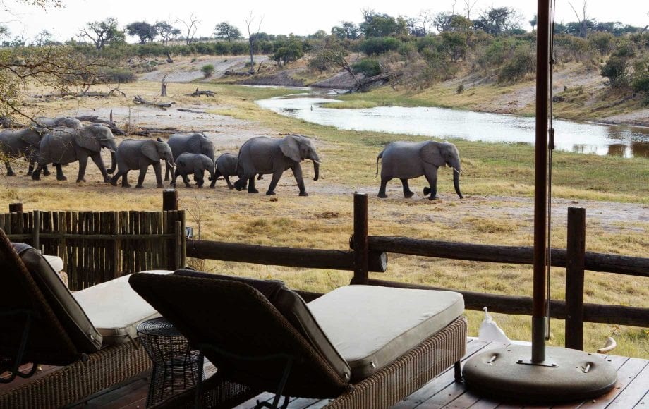 7days-deltatodesert-romantic-botswana-safari