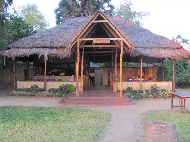 7day-selous-mikumi-ruaha-tanzania-bigfive-safari