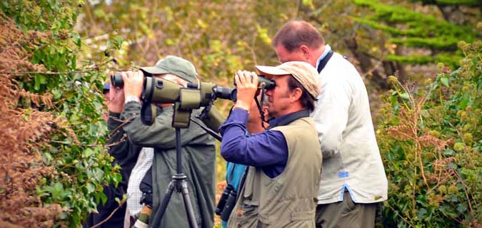 8days-bird-watching-tanzaniaandbeyond-safari