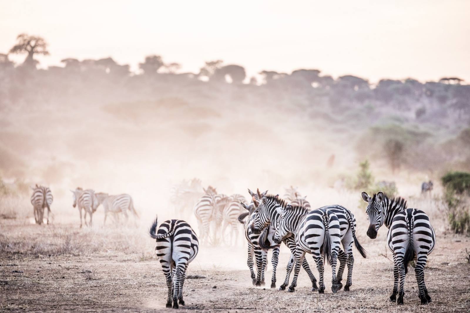 7days-tanzania-luxury-honeymoon-safari