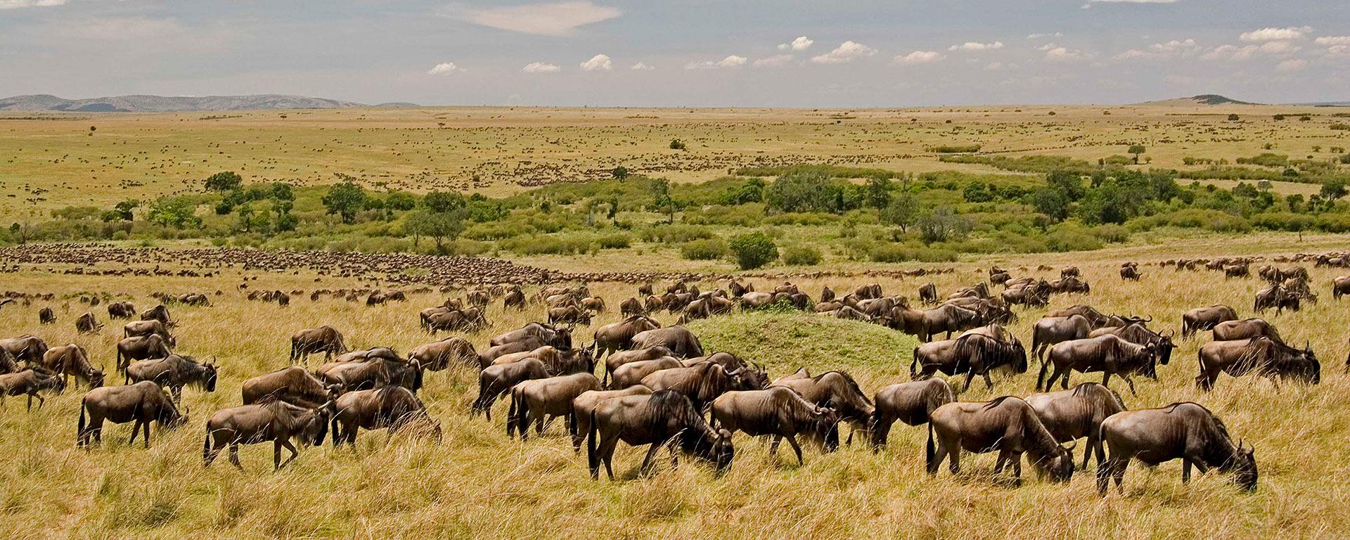 10days-tanzania-safariandadventure