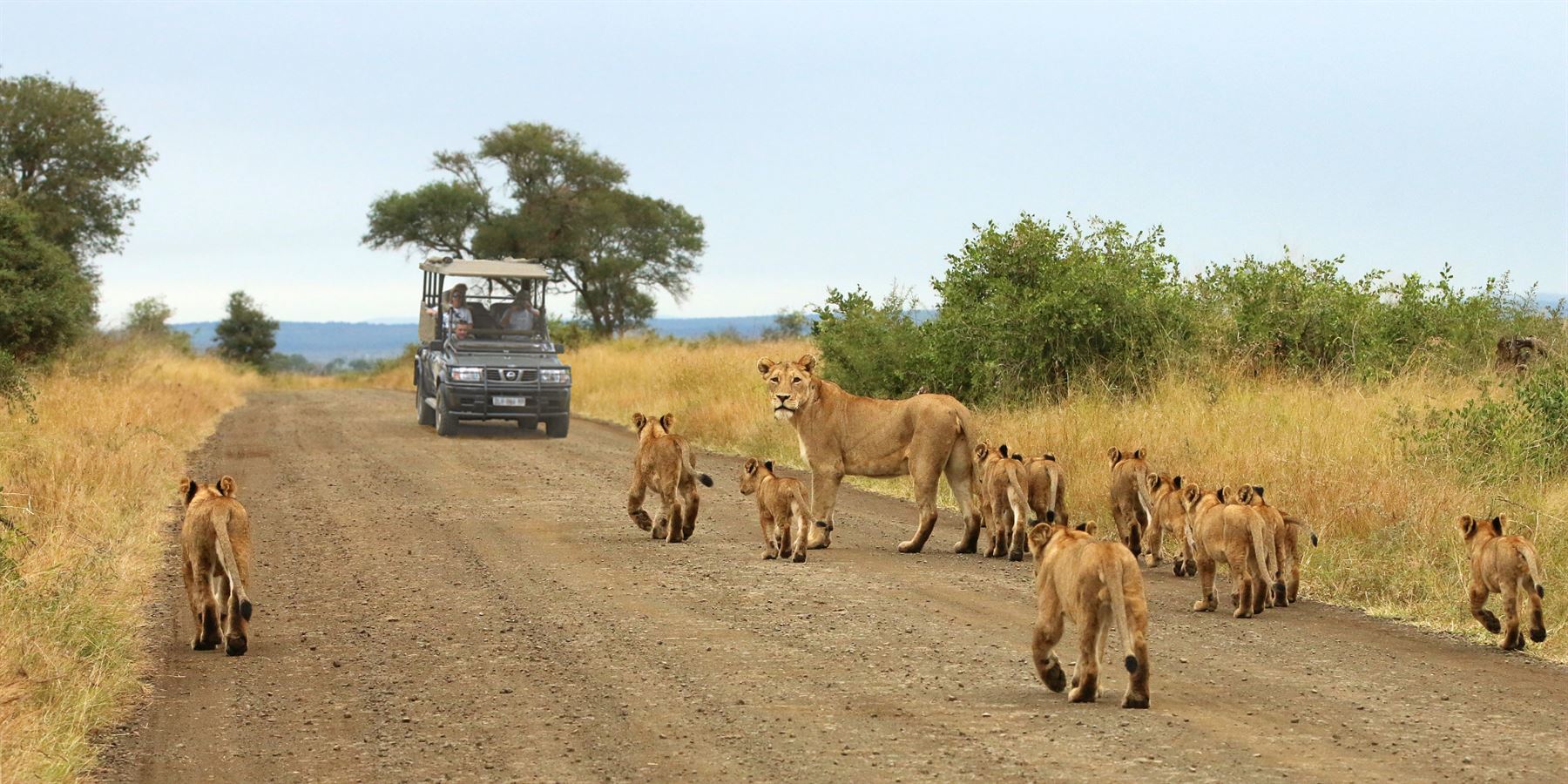 10days-kruger-walking-safariandkwazulu-natal