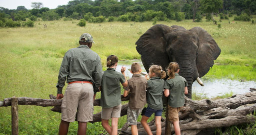 9days-zimbabwe-family-hwange-karibaandfalls-safari